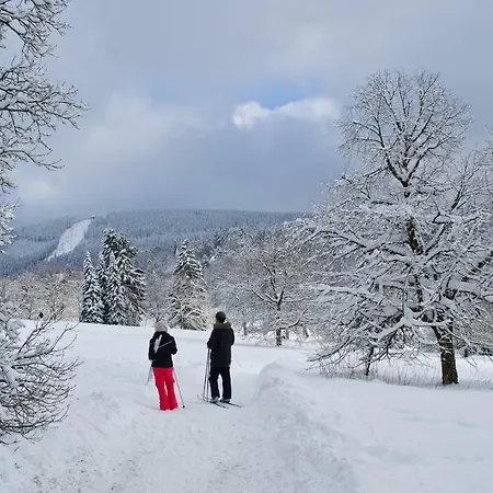 Ferienblockhaus Auerhahn & Luchs *