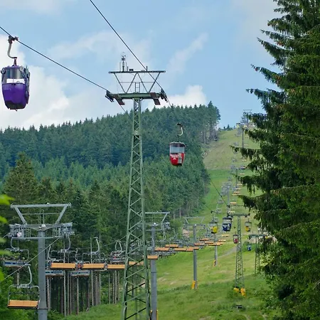 Ferienblockhaus Auerhahn & Luchs Goslar