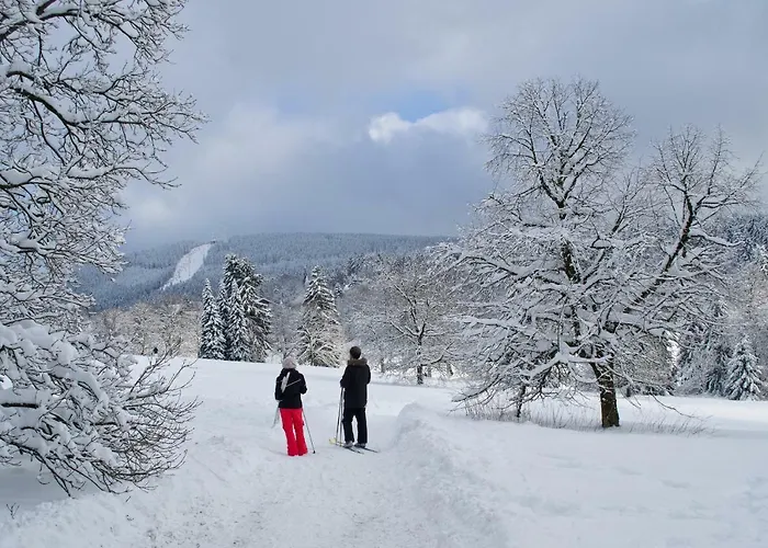 Ferienblockhaus Auerhahn & Luchs *