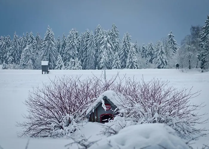 Ferienblockhaus Auerhahn & Luchs