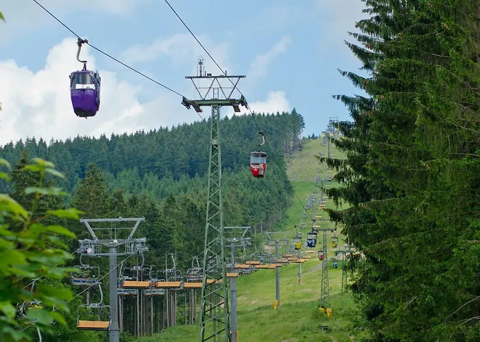 Ferienblockhaus Auerhahn & Luchs Goslar
