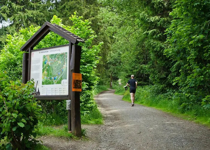 Casa vacanze Ferienblockhaus Auerhahn & Luchs Goslar